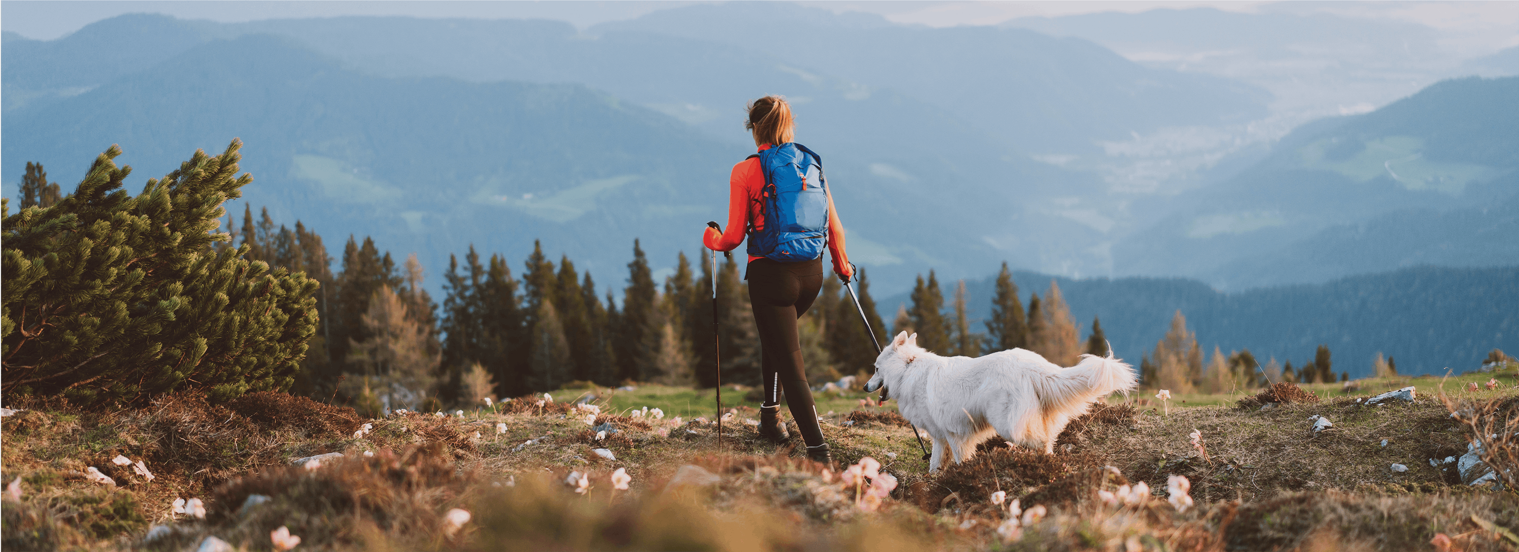 A woman leads her dog through a hike in the wilderness with trees and mountains in the background. 